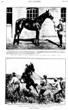 Graphic Saturday 17 March 1900 Page 13