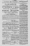 Y Goleuad Saturday 09 July 1870 Page 15