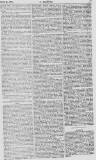 Y Goleuad Saturday 17 April 1875 Page 7