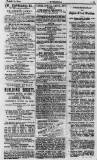 Y Goleuad Saturday 27 March 1880 Page 15