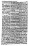 Y Goleuad Saturday 08 May 1880 Page 11