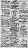 Y Goleuad Saturday 10 July 1880 Page 15