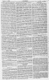 Y Goleuad Saturday 26 February 1881 Page 5