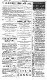Y Goleuad Saturday 01 January 1887 Page 13