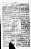 Y Goleuad Wednesday 24 April 1895 Page 10