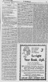 Y Goleuad Wednesday 24 November 1897 Page 11