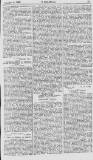 Y Goleuad Wednesday 08 February 1899 Page 15