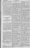 Y Goleuad Wednesday 05 April 1899 Page 11
