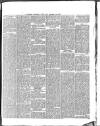 Y Genedl Gymreig Thursday 18 October 1877 Page 8