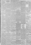 Hull Packet Friday 18 June 1852 Page 5