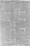 Hull Packet Friday 24 January 1873 Page 7