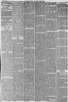 Hull Packet Friday 13 June 1873 Page 5