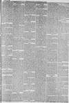 Hull Packet Friday 16 January 1874 Page 7