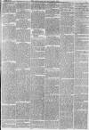 Hull Packet Friday 30 October 1874 Page 3