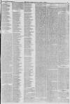 Hull Packet Friday 18 June 1875 Page 3