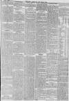 Hull Packet Friday 18 June 1875 Page 7