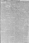 Hull Packet Friday 02 April 1875 Page 5