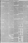 Hull Packet Friday 23 July 1875 Page 7