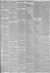 Hull Packet Friday 13 August 1875 Page 7