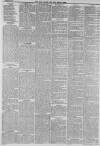 Hull Packet Friday 19 January 1877 Page 3