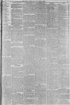 Hull Packet Friday 02 March 1877 Page 3