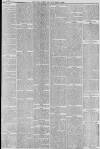Hull Packet Friday 11 October 1878 Page 7