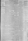 Hull Packet Friday 15 November 1878 Page 5