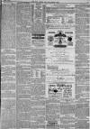 Hull Packet Friday 02 January 1880 Page 7