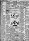 Hull Packet Friday 16 January 1880 Page 7