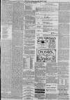 Hull Packet Friday 25 June 1880 Page 3
