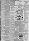 Hull Packet Friday 16 July 1880 Page 3
