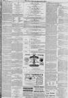 Hull Packet Friday 22 October 1880 Page 3