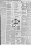 Hull Packet Friday 26 November 1880 Page 3