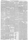 Hull Packet Friday 29 July 1881 Page 5