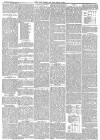 Hull Packet Friday 21 October 1881 Page 7