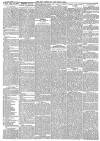 Hull Packet Friday 25 November 1881 Page 7