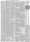 Hull Packet Friday 24 March 1882 Page 8