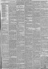 Hull Packet Friday 19 January 1883 Page 3