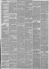 Hull Packet Friday 23 February 1883 Page 3