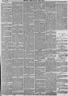 Hull Packet Friday 23 February 1883 Page 7