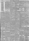 Hull Packet Friday 16 March 1883 Page 3