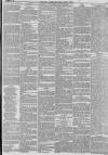 Hull Packet Friday 02 November 1883 Page 3