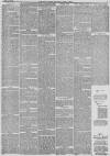 Hull Packet Friday 19 December 1884 Page 7