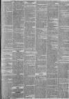 Ipswich Journal Saturday 15 February 1879 Page 7