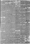 Ipswich Journal Saturday 27 September 1884 Page 7