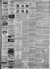 Ipswich Journal Saturday 21 March 1896 Page 3