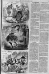 Illustrated Police News Saturday 02 February 1895 Page 5