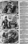 Illustrated Police News Saturday 01 June 1895 Page 5