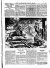 Illustrated Police News Saturday 30 December 1905 Page 13