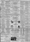 Oxford Journal Saturday 30 January 1875 Page 3